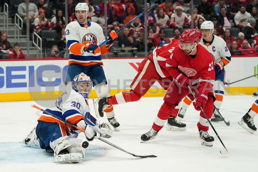 Islanders Red Wings Hockey