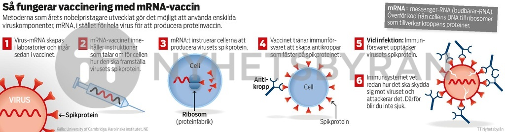 Så fungerar mRNA-vaccin