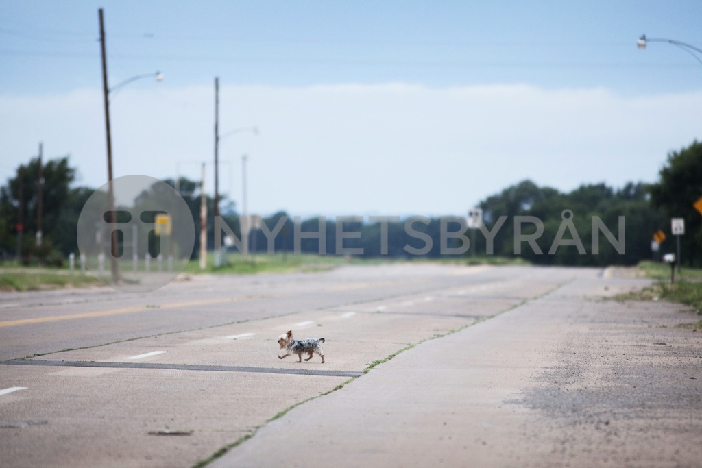 'Grapes of Wrath' road trip along Route 66