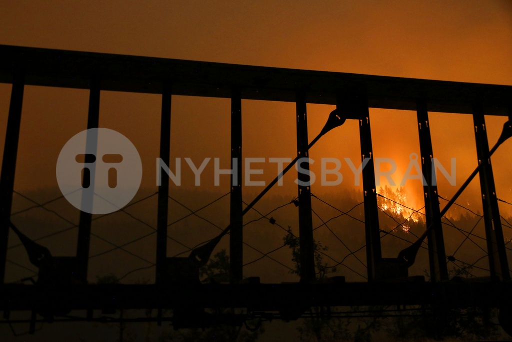 San_Francisco_Chronicle_Archive_Image_17891.jpg7346f