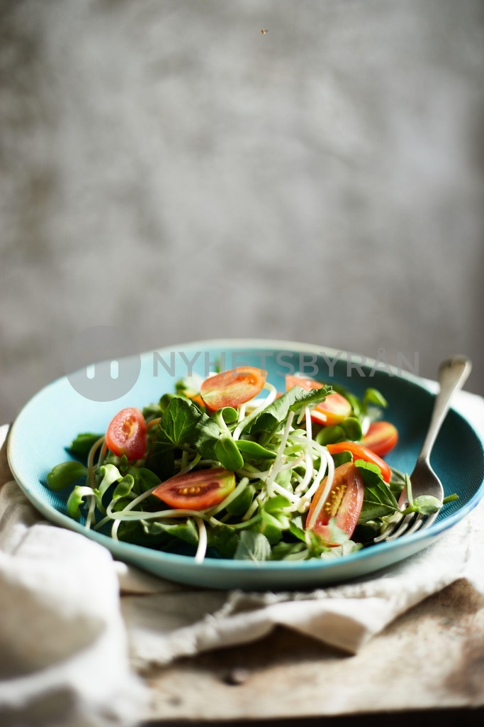 Fresh vegetable mixed salad on plate.