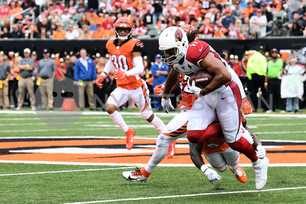CINCINNATI, OH OCTOBER 06 Arizona Cardinals Wide Receiver Larry