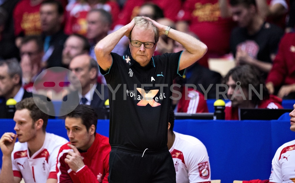 DENMARK HANDBALL EUROPEAN CHAMPIONSHIP 2014