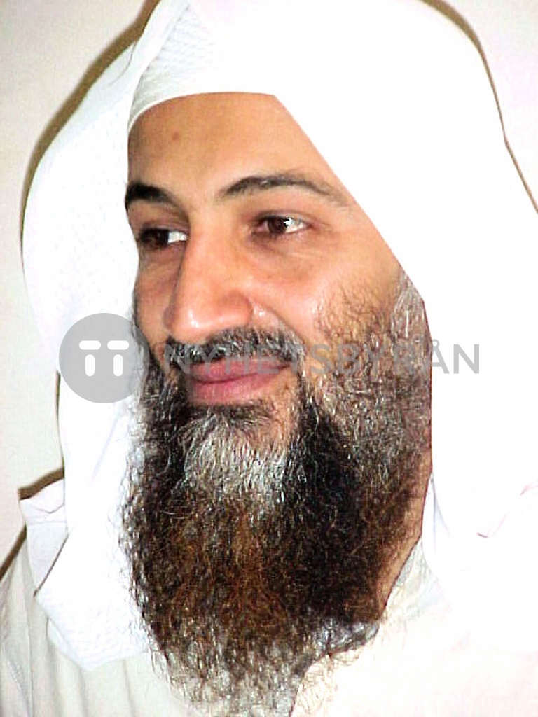 FILESQAEDAUSCONFLICTBIN LADEN